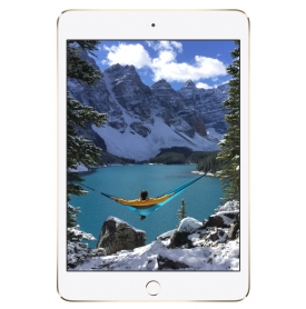 Apple iPad Mini 4 Image Gallery