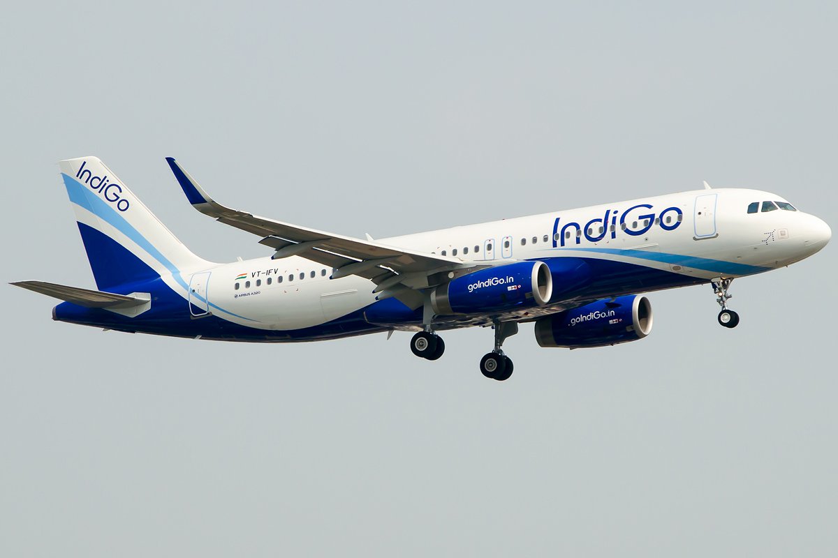 Indigo Flight