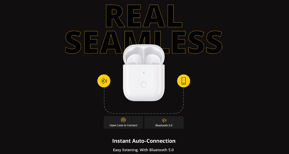 realme Buds Wireless case