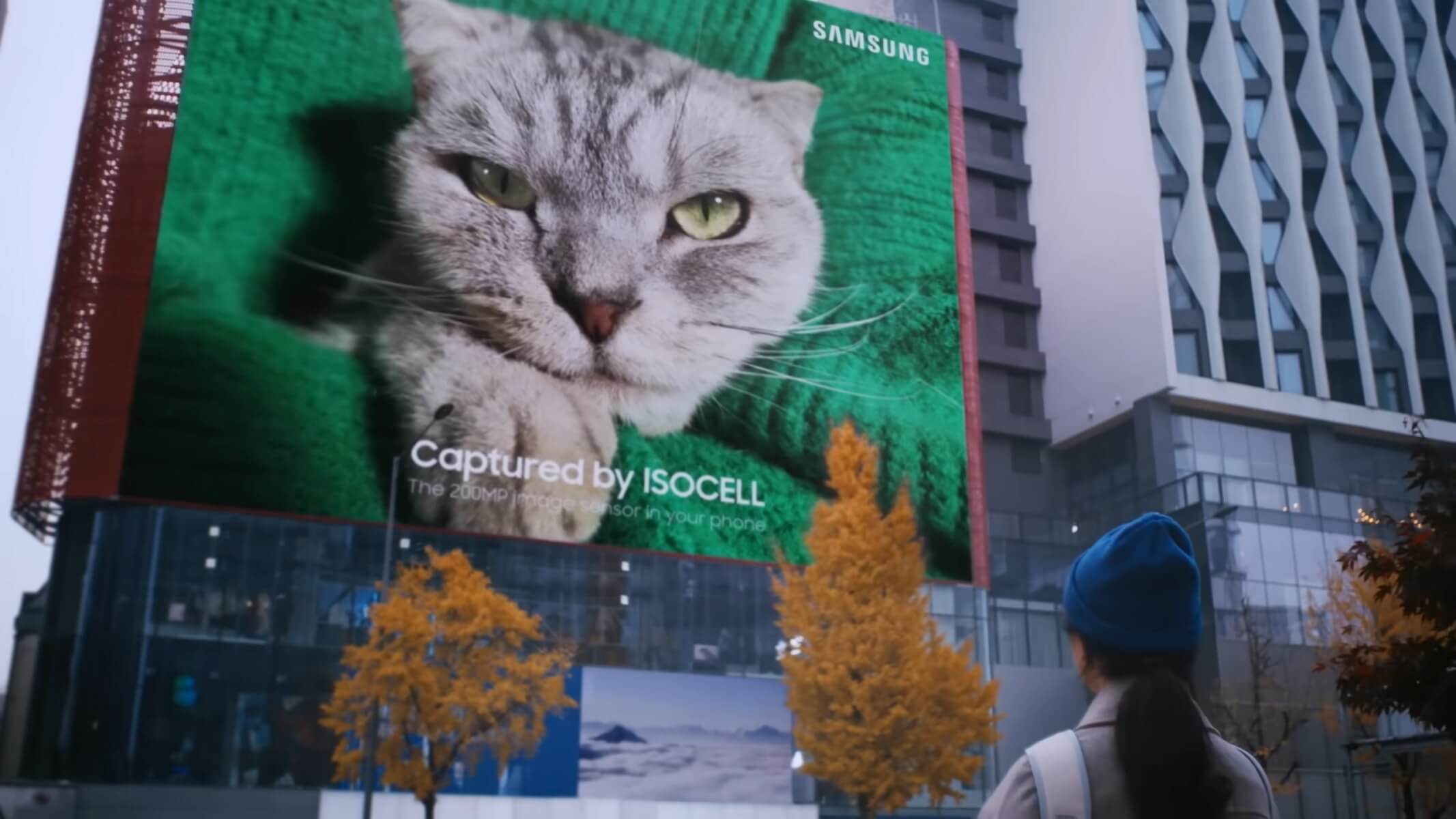 Samsung 200MP sensor image cat canvas