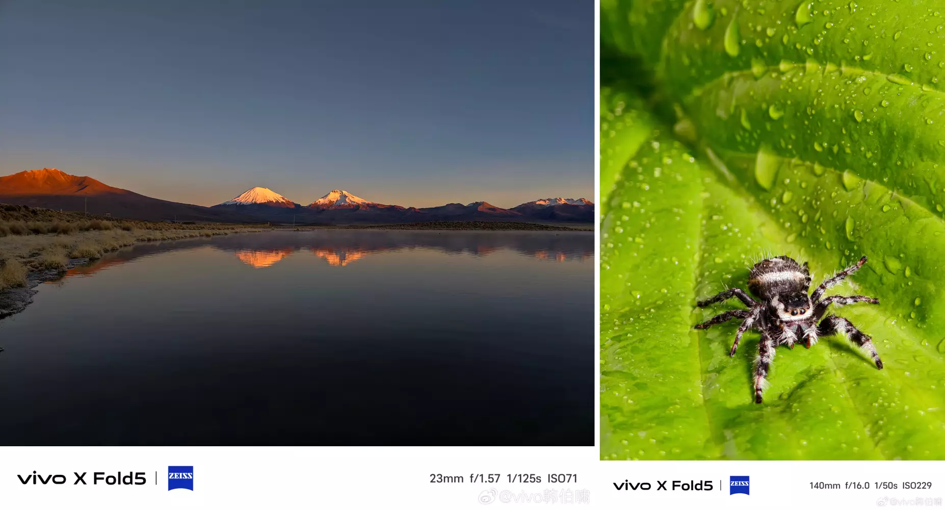 vivo X Fold 5 camera Sample.jpg.